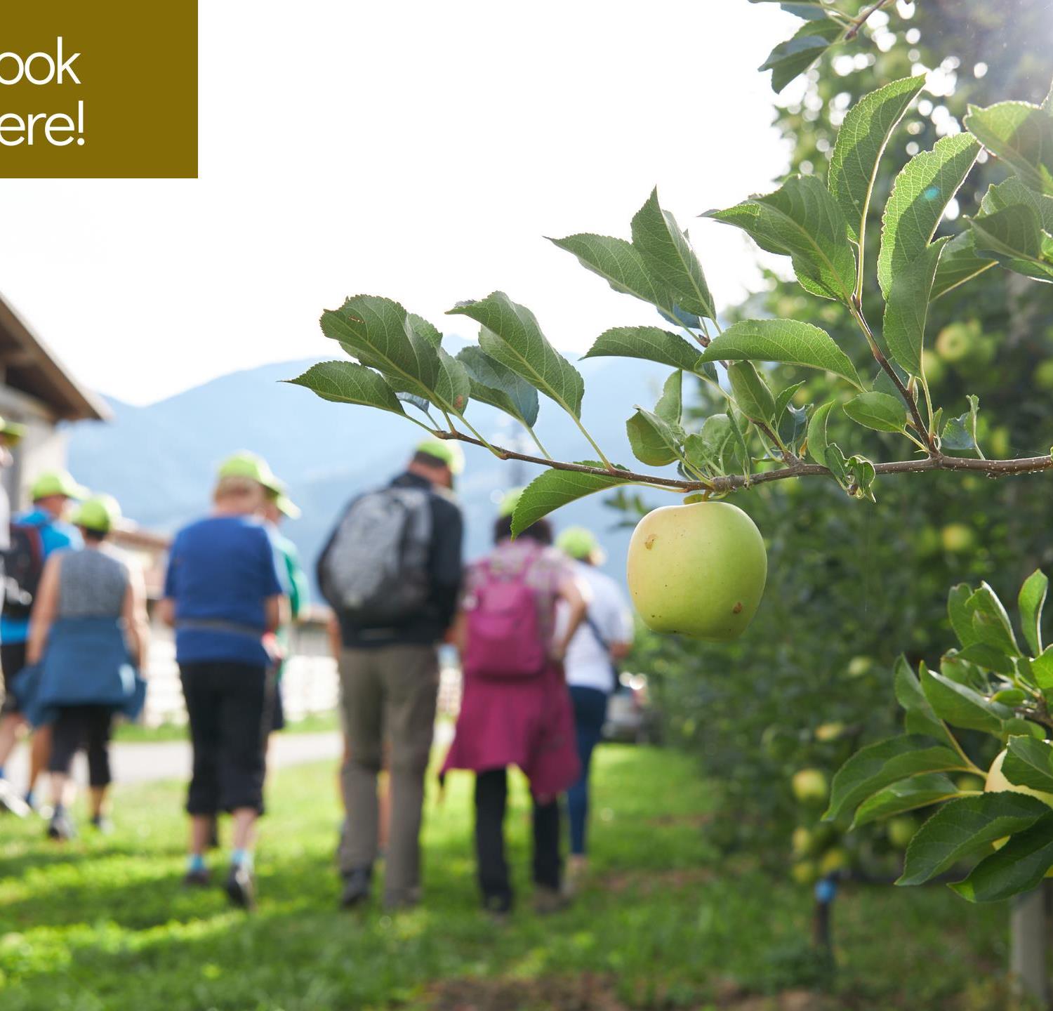 Foto für Der Südtiroler Apfel in seiner Bergwelt